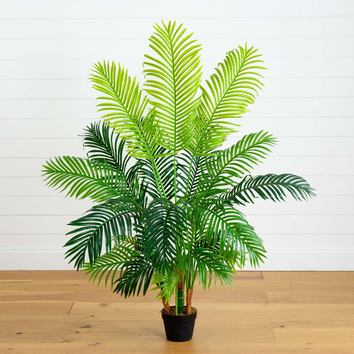 hawaiian palm plant Nearly Natural 5 ft. Hawaii Palm Artificial Tree