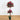 5' Mini Bougainvillea Topiary