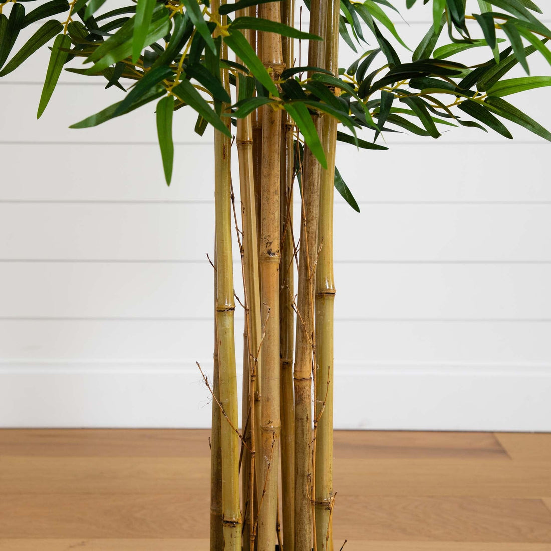 bamboo plants for sale indoor Nearly Natural 5' Bambusa Bamboo Silk Tree, Green
