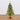 5' Northern Tip Pine Artificial Christmas Tree with 150 Clear LED Lights