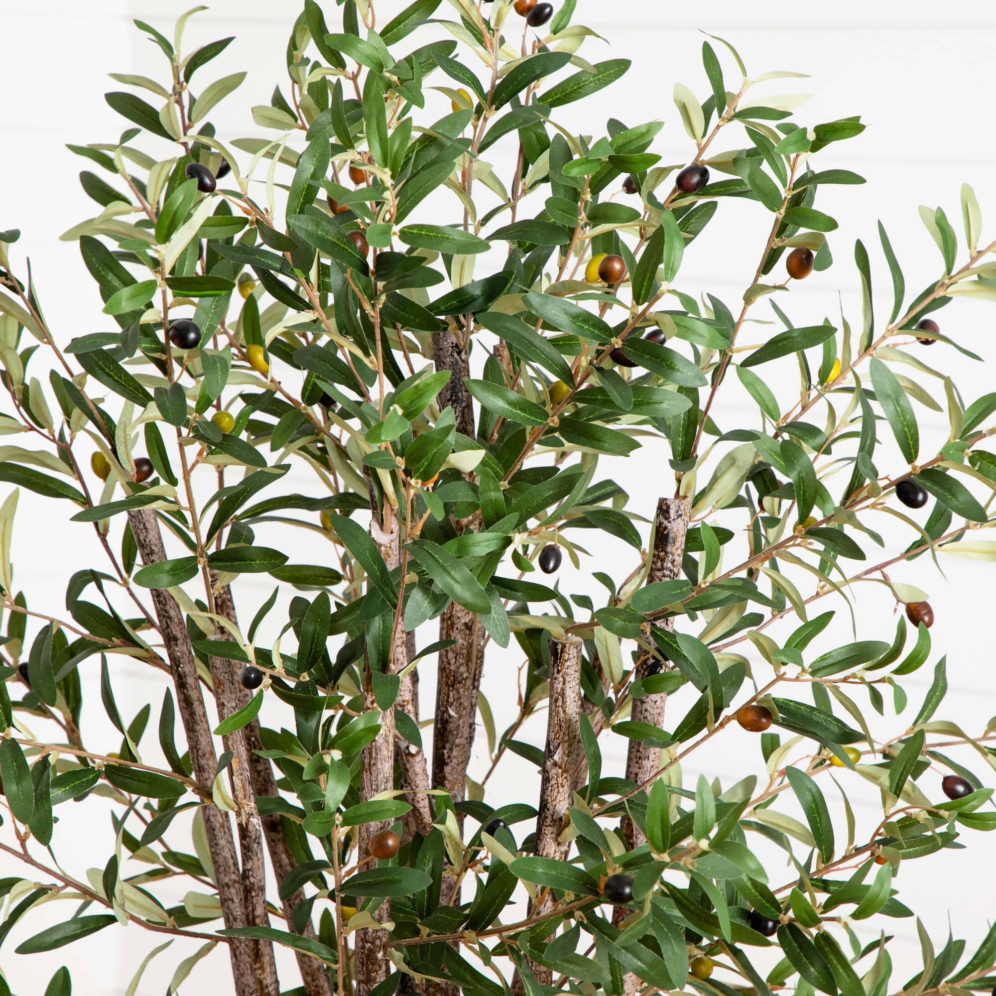 5' Olive Silk Tree | Nearly Natural