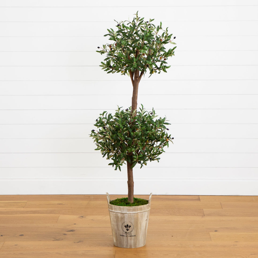 farmhouse plant pots 5' Olive Tree in Farmhouse Planter