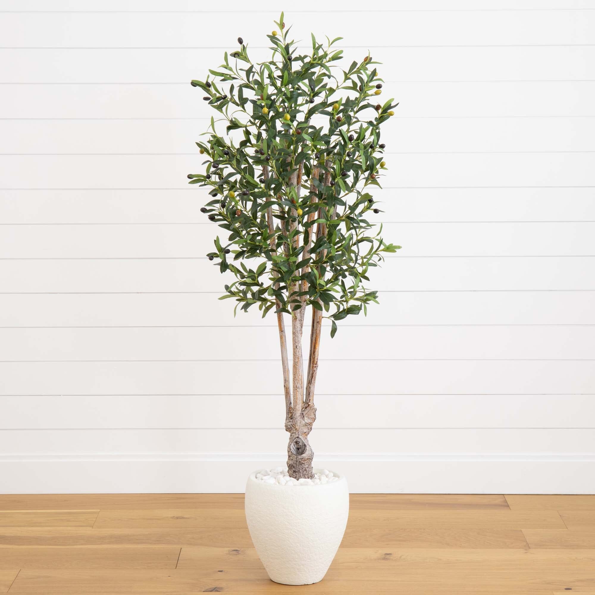 5’ Olive Tree in White Oval Planter | Nearly Natural