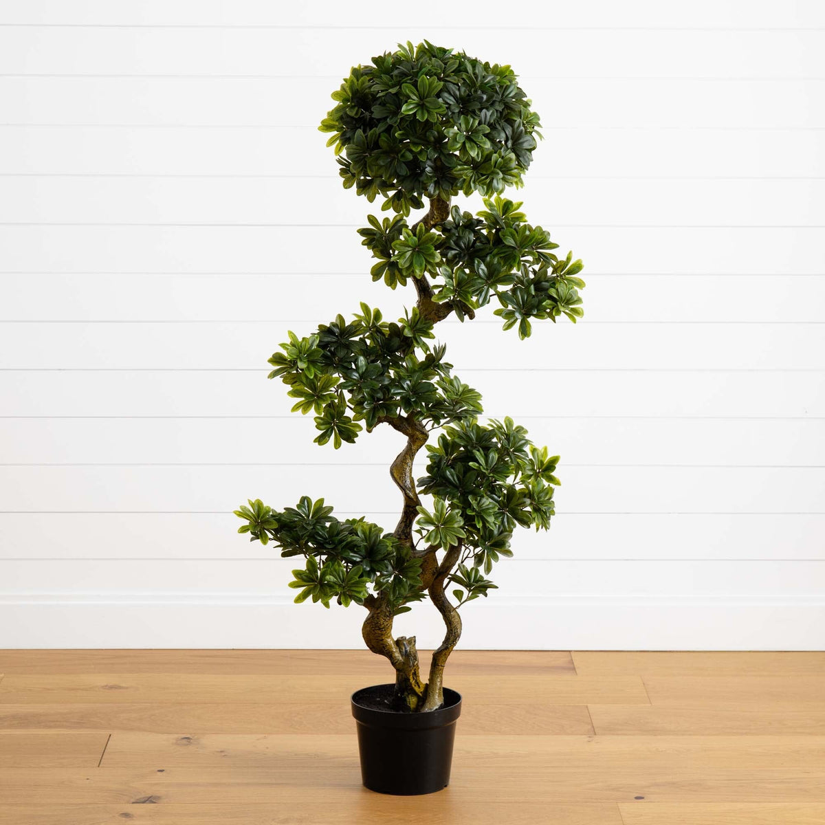 pittosporum indoor plant Nearly Natural 5 ft. Pittispourm UV Resistant