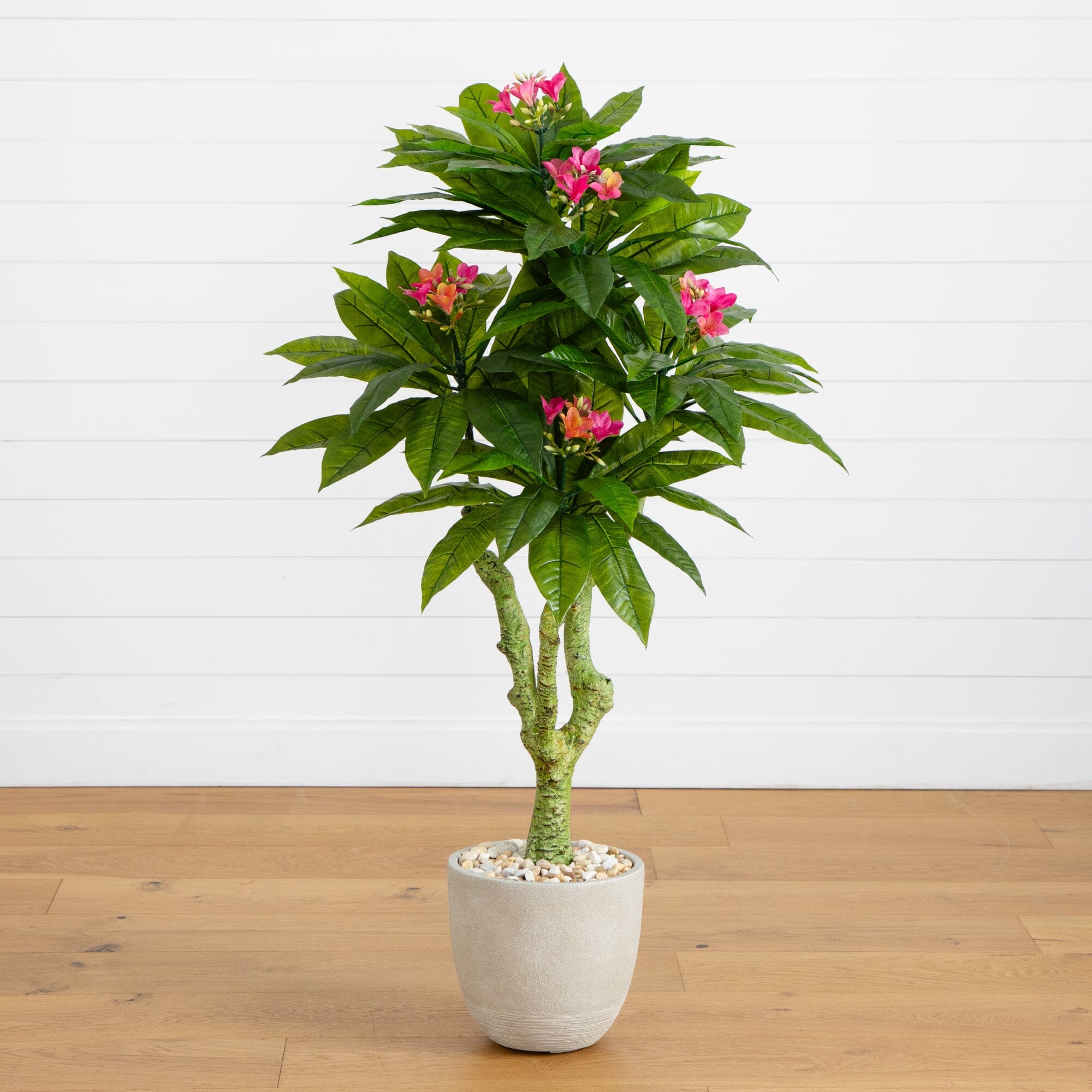 Plantation 2025AW フラワービエラPT 5' Plumeria Artificial Tree in Decorative Planter UV Resistant