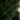 5' Pond Cypress Spiral Topiary UV Resistant (Indoor/Outdoor)