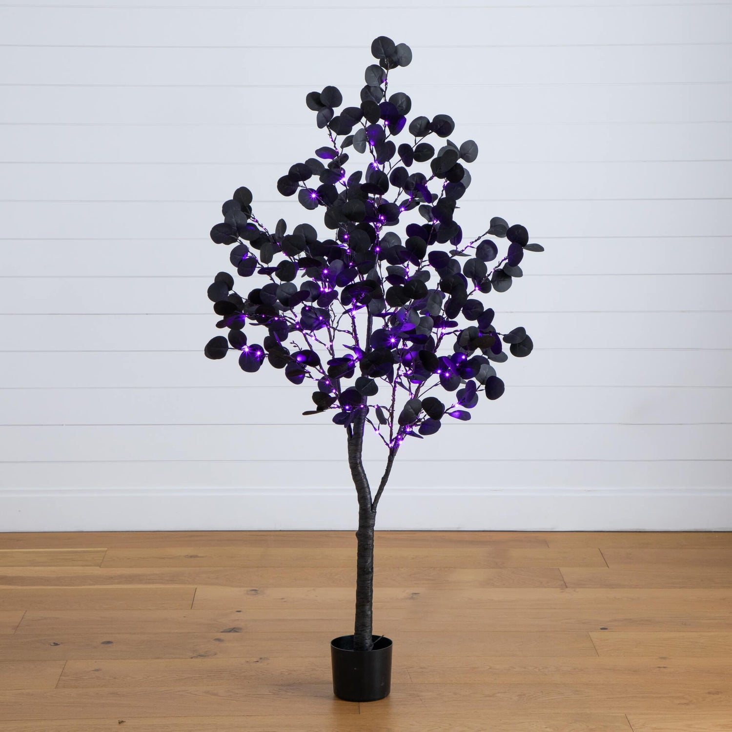 5' Pre-Lit Artificial Halloween Black Eucalyptus Tree with 220 Orange & Purple LED Lights