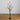 5' Pre-Lit Artificial Halloween Pumpkins and Skulls Ornament Tree with 72 Warm White LED Lights
