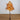 5' Pre-Lit Burnt Orange Autumn Maple Artificial Fall Tree with 240 Warm White LED Lights