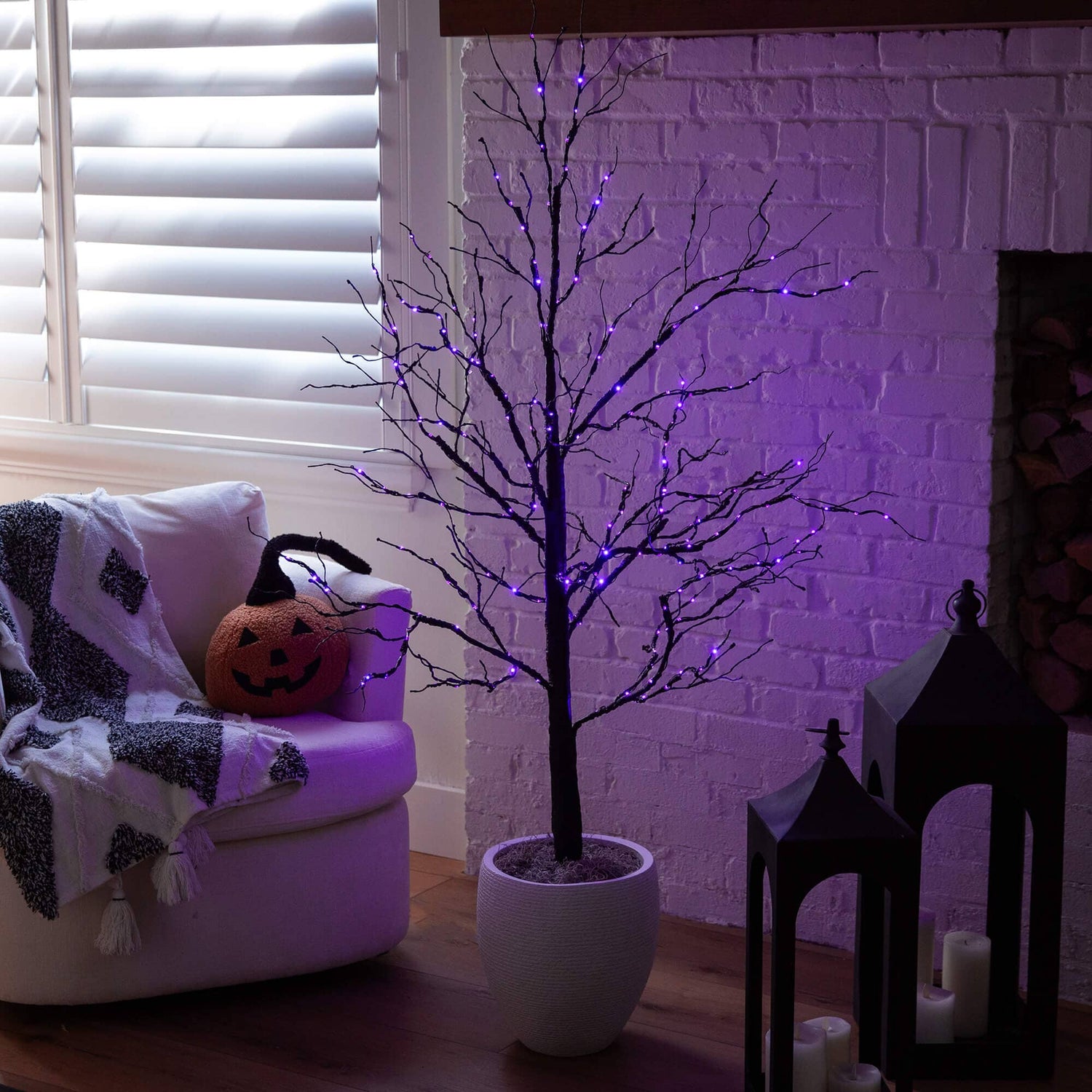5' Pre-Lit Halloween Black Twig Artificial Tree with 240 Orange & Purple LED Lights
