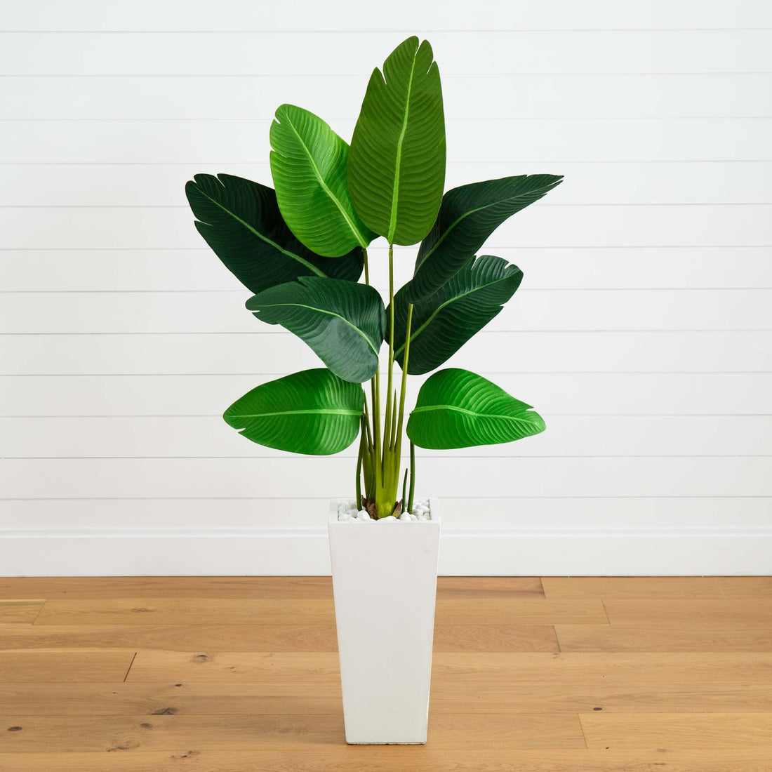 5' Travelers Palm Artificial Tree in Tall White Planter