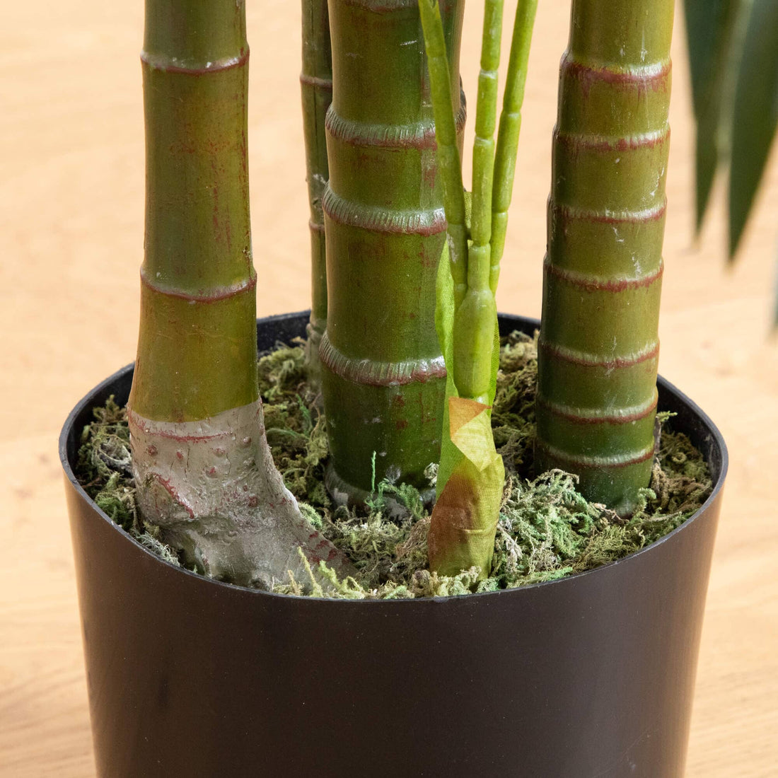 areca palm indoor plants philippines 5' UV Resistant Artificial Areca Palm Tree (Indoor/Outdoor)