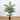 5' UV Resistant Artificial Areca Palm Tree (Indoor/Outdoor)