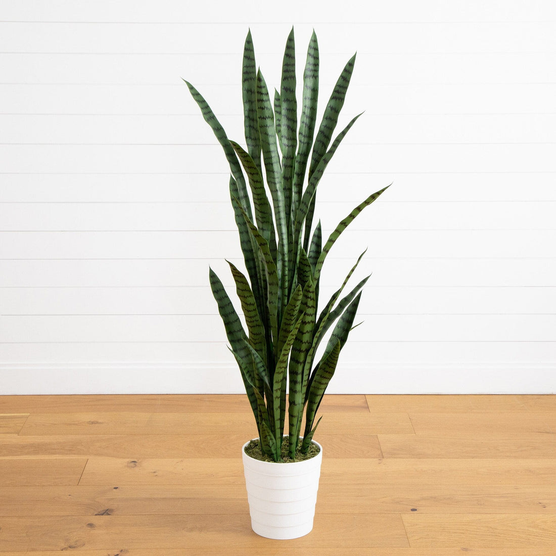 resistant indoor plants 5' UV Resistant Artificial Sansevieria Plant in White Decorative Planter ( Indoor/Outdoor)