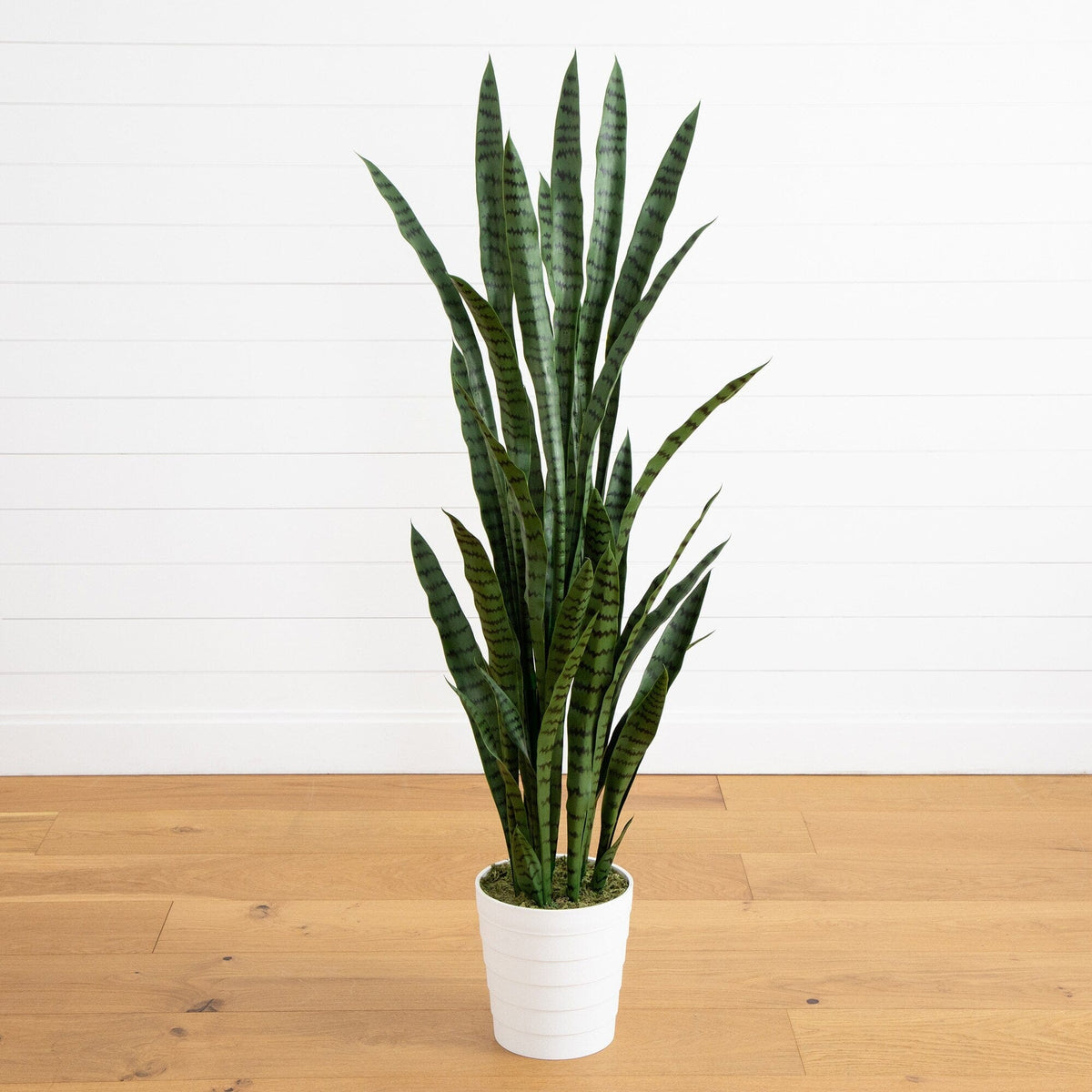 nearly natural sansevieria Nearly Natural 5ft. UV Resistant Artificial Sansevieria Plant in White Decorative Planter (Indoor/Outdoor)