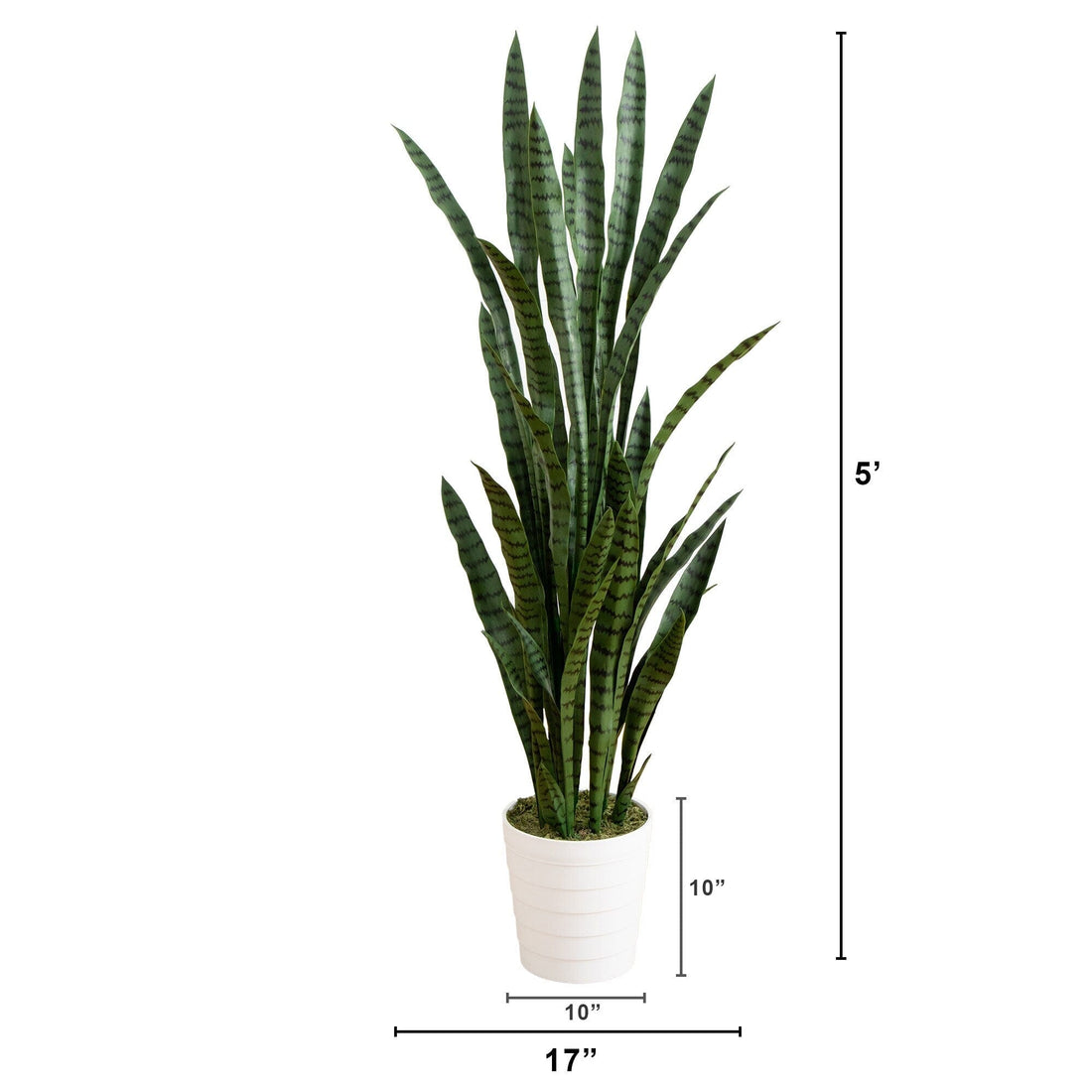 5' UV Resistant Artificial Sansevieria Plant in White Decorative Planter  (Indoor/Outdoor)