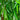 5’ Willow Artificial Tree  (Real Touch)