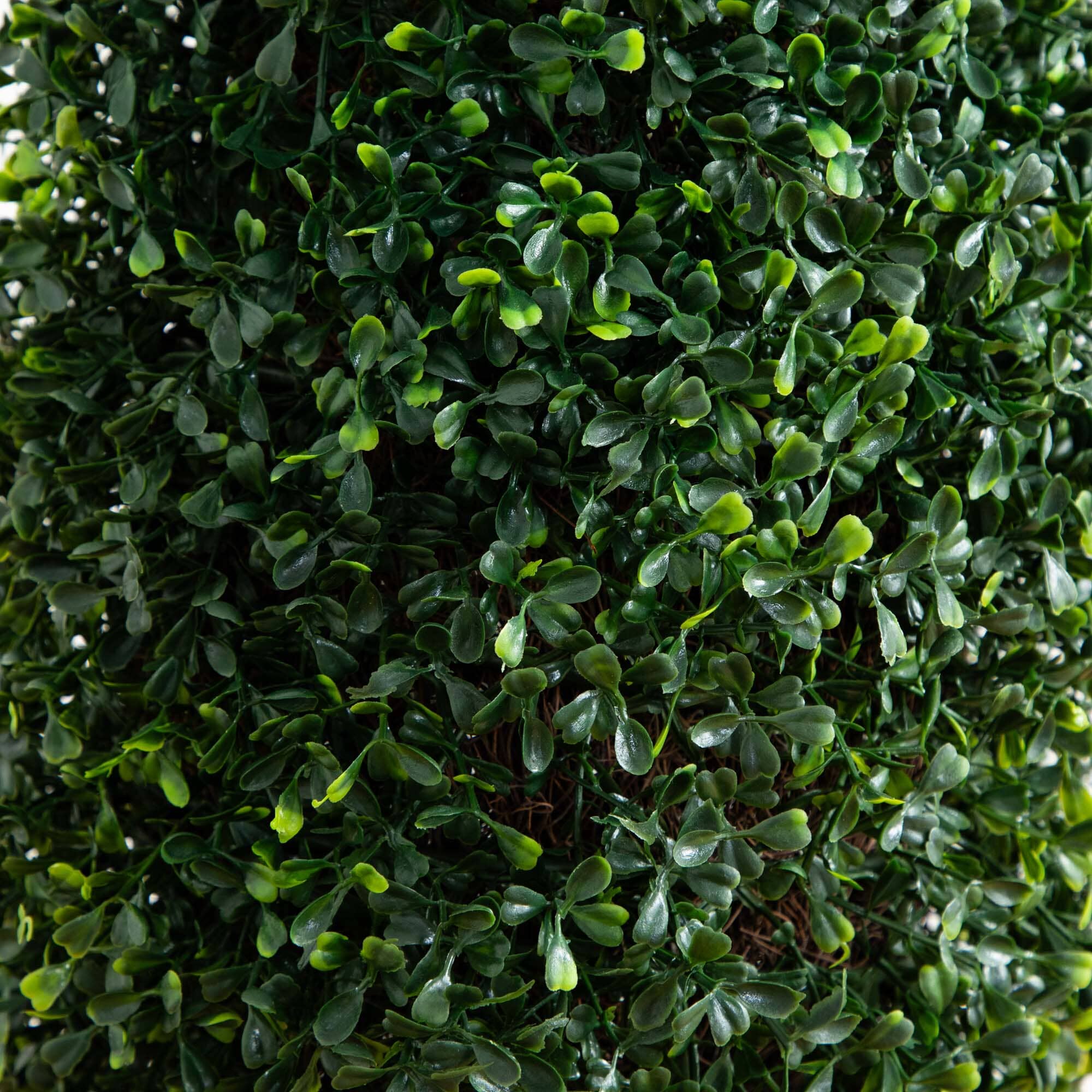 50” Boxwood Topiary with Gray Cylindrical Planter UV Resistant