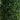 50” Boxwood Topiary with Gray Cylindrical Planter UV Resistant (Indoor/Outdoor)