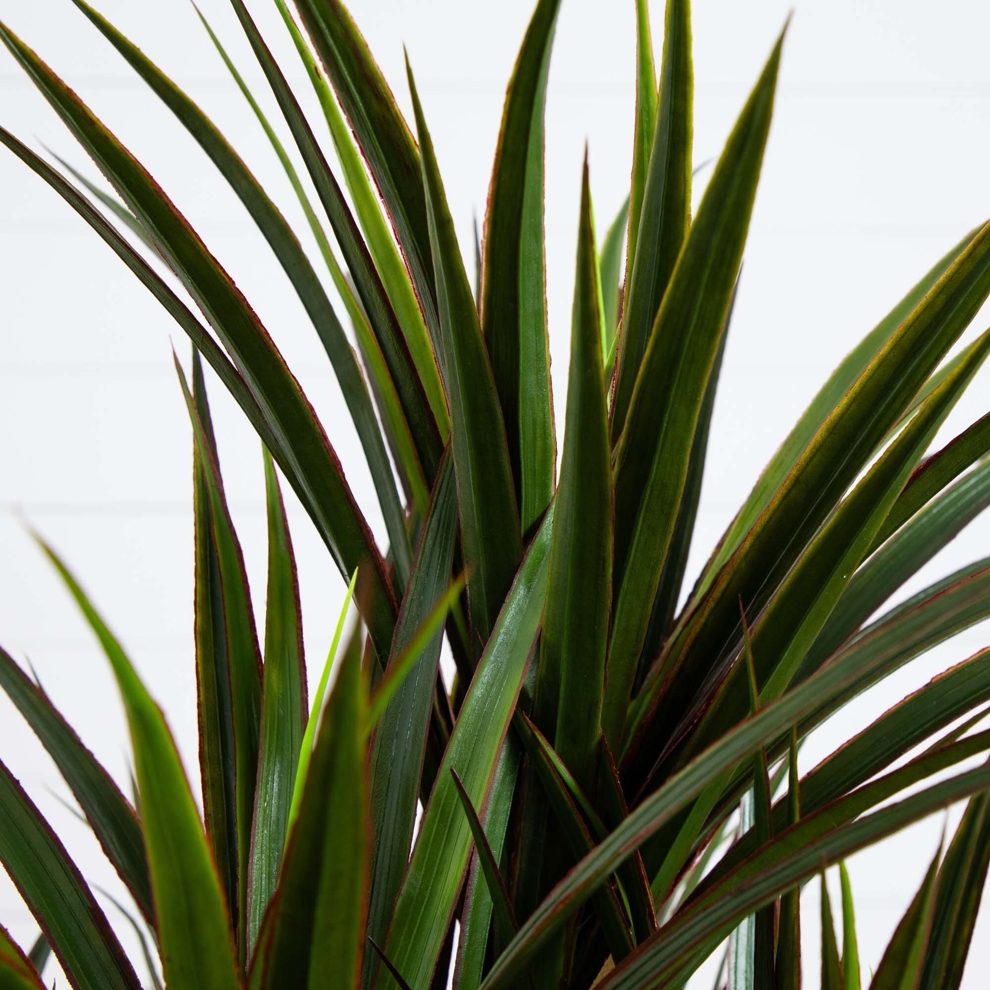 50” Yucca Artificial Tree in Planter UV Resistant (Indoor/Outdoor