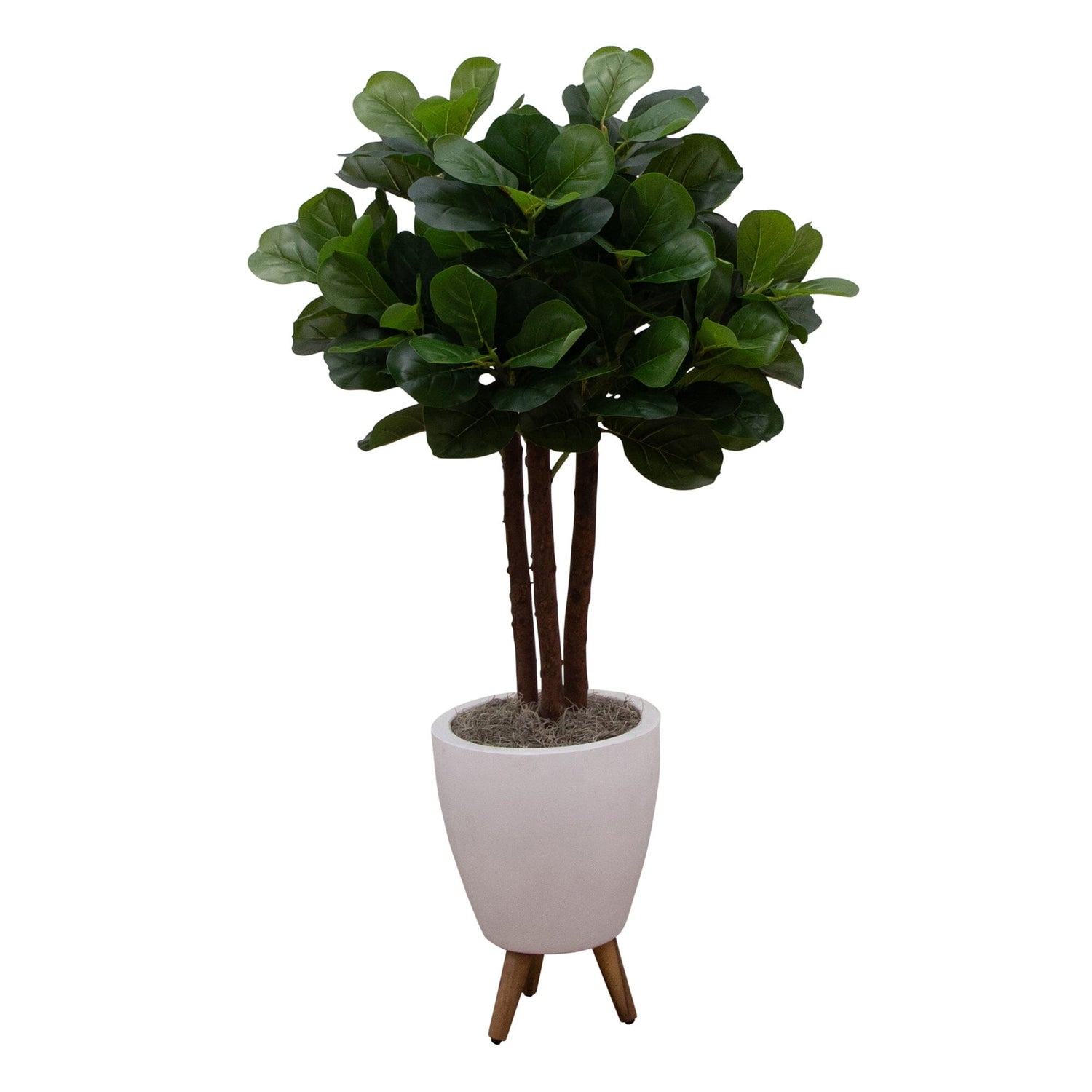 3 fiddle leaf fig in one pot 53” Artificial Triple Trunk Fiddle Leaf Fig Tree in White Ceramic Tripod Planter