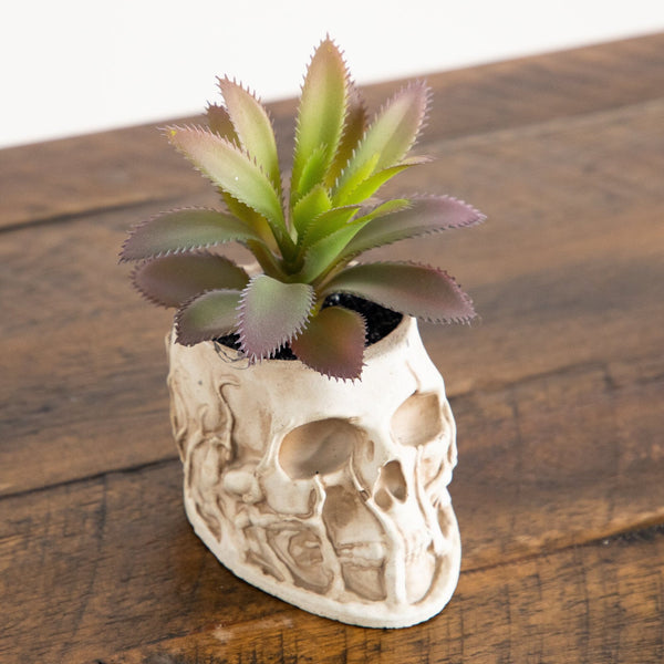 5.5" and 9" Artificial Halloween Succulent Garden in Skull Planter - Set of 2