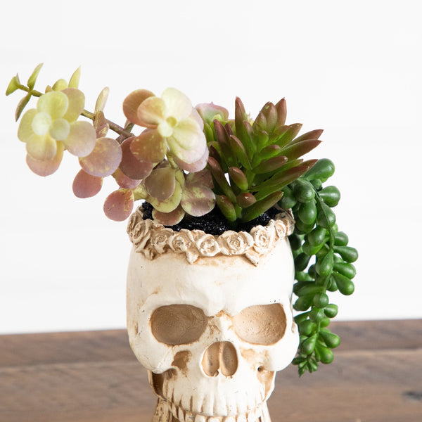 5.5" and 9" Artificial Halloween Succulent Garden in Skull Planter - Set of 2
