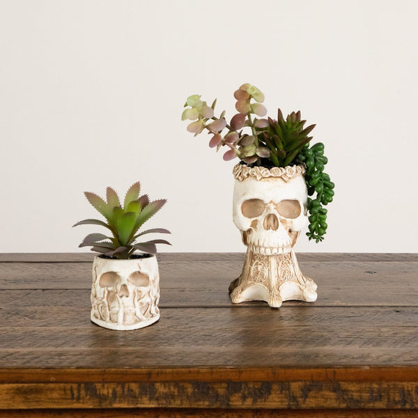 5.5" and 9" Artificial Halloween Succulent Garden in Skull Planter - Set of 2