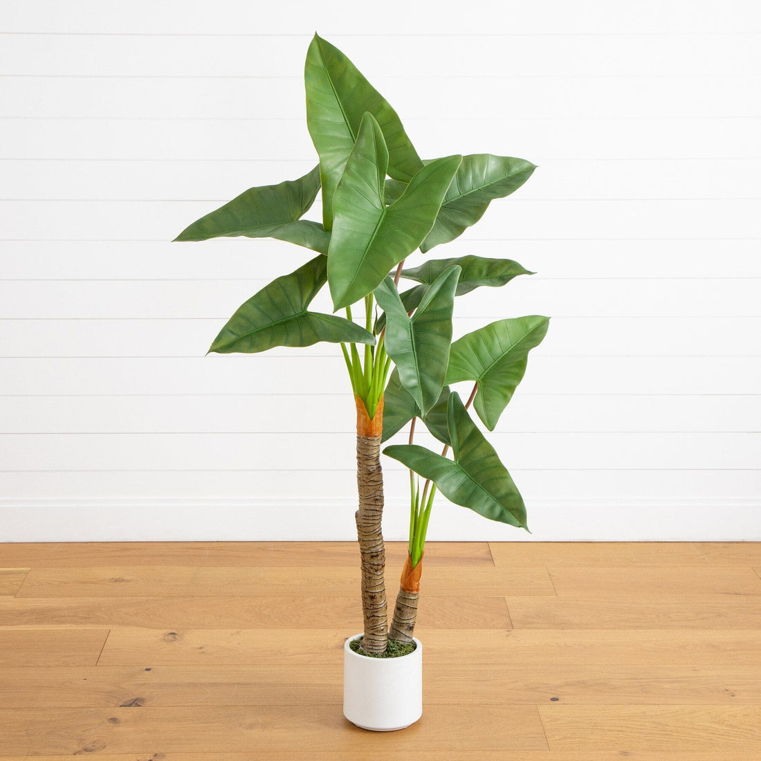 faux philodendron tree 5.5’ Artificial Arrowhead Philodendron in White Decorative Planter