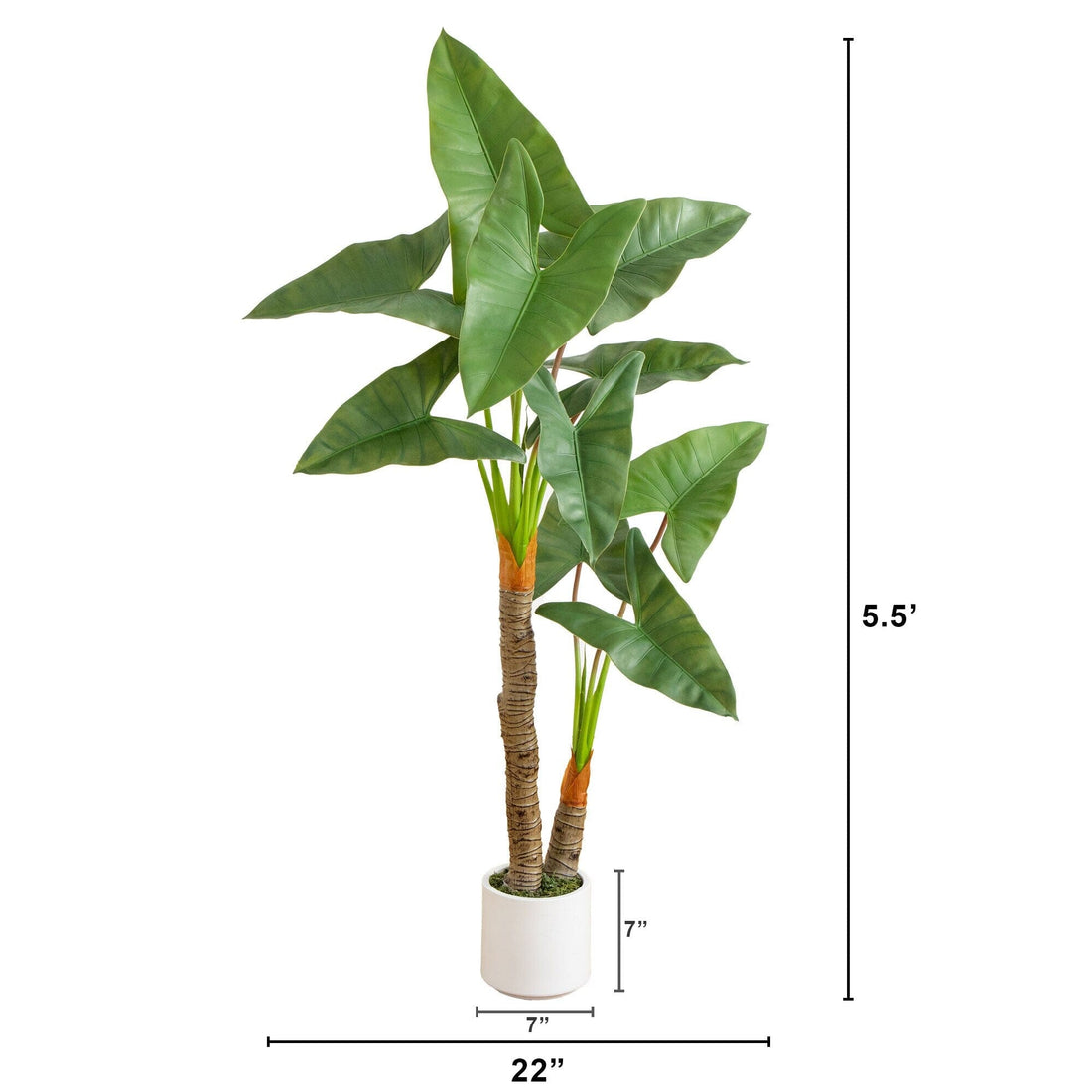 philodendron height 5.5' Artificial Arrowhead Philodendron in White Decorative Planter