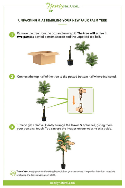 5.5’ Double Robellini Palm Tree UV Resistant (Indoor/Outdoor)