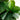 5.5’ Fiddle Leaf Artificial Tree in Black Planter (Real Touch)