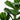 5.5’ Fiddle Leaf Artificial Tree in White Metal Planter(Indoor/Outdoor)