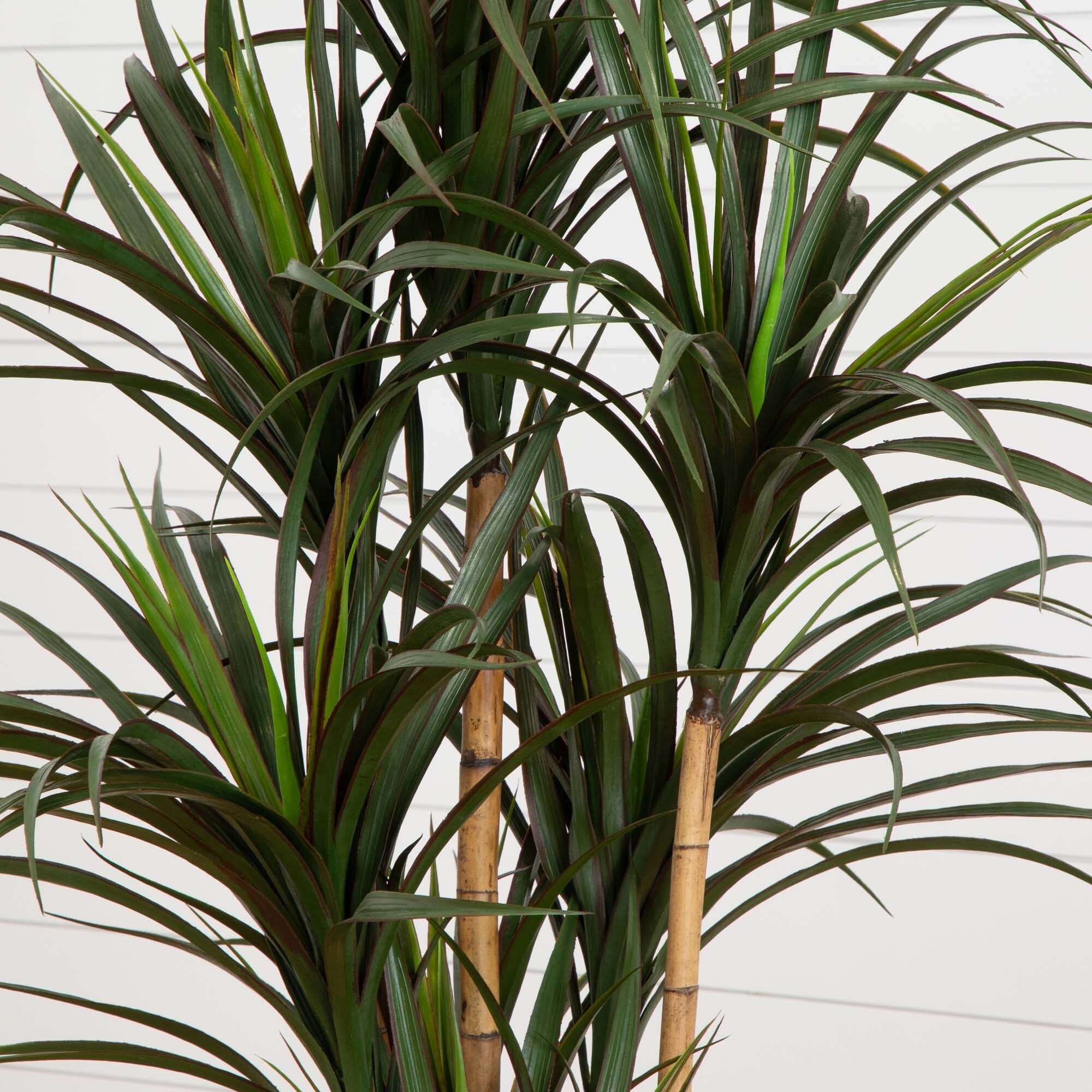5.5' Giant Yucca Artificial Tree UV Resistant | Nearly Natural
