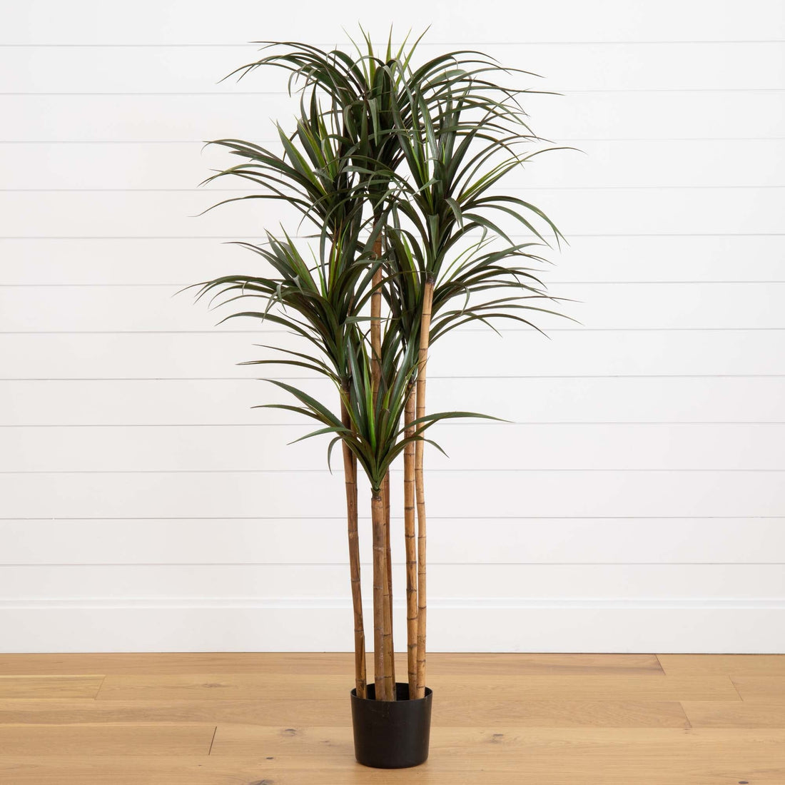 giant potted plant 5.5’ Giant Yucca Artificial Tree UV Resistant