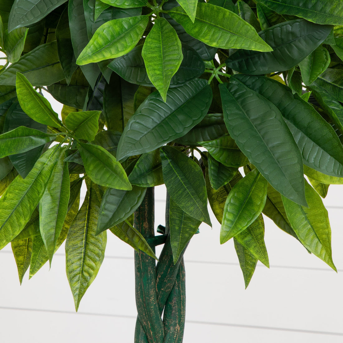 money tree family 6' Money Artificial Tree in Gray Cylinder Planter (Real Touch)