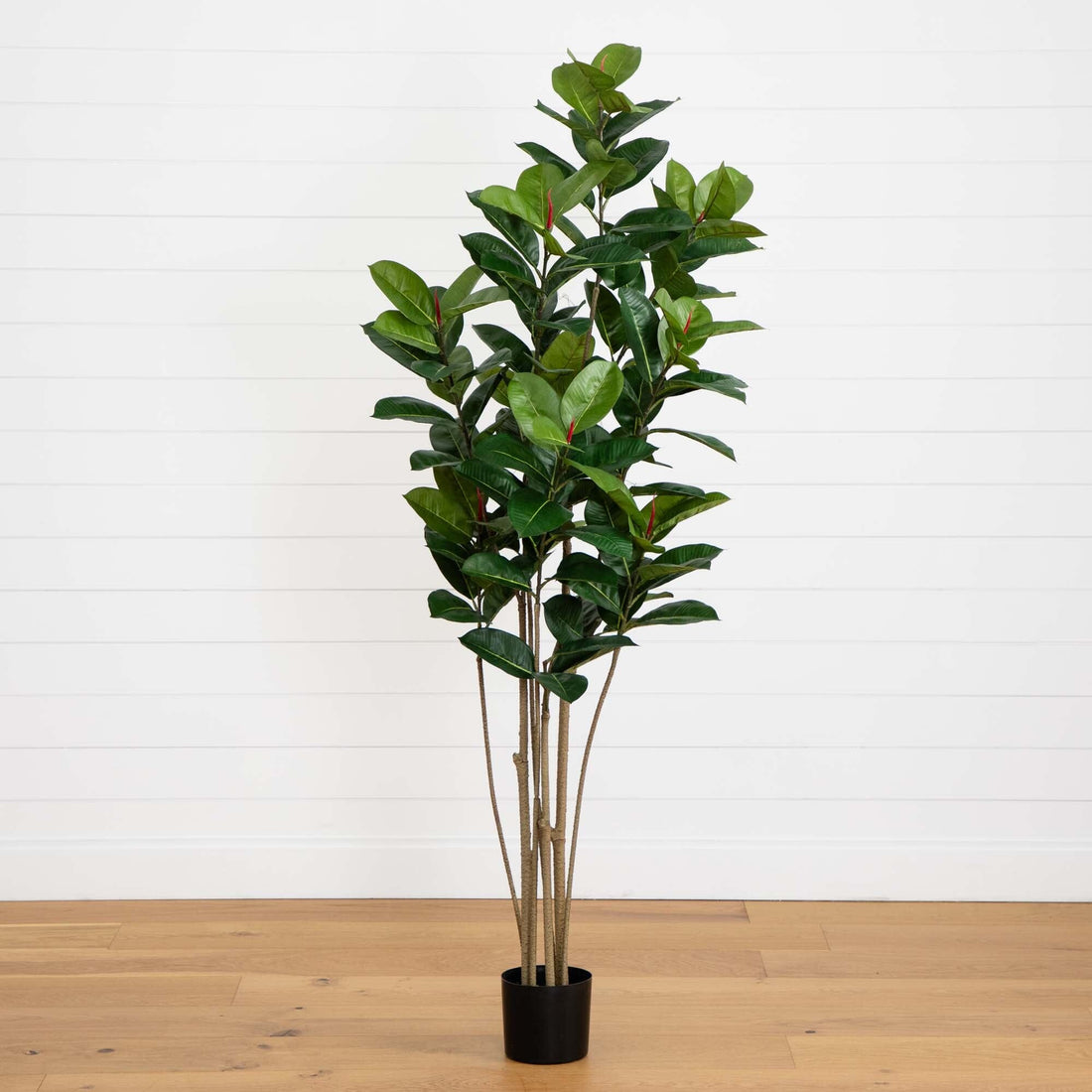 indoor oak plant 5.5’ Oak Artificial Tree UV Resistant (Indoor/Outdoor)