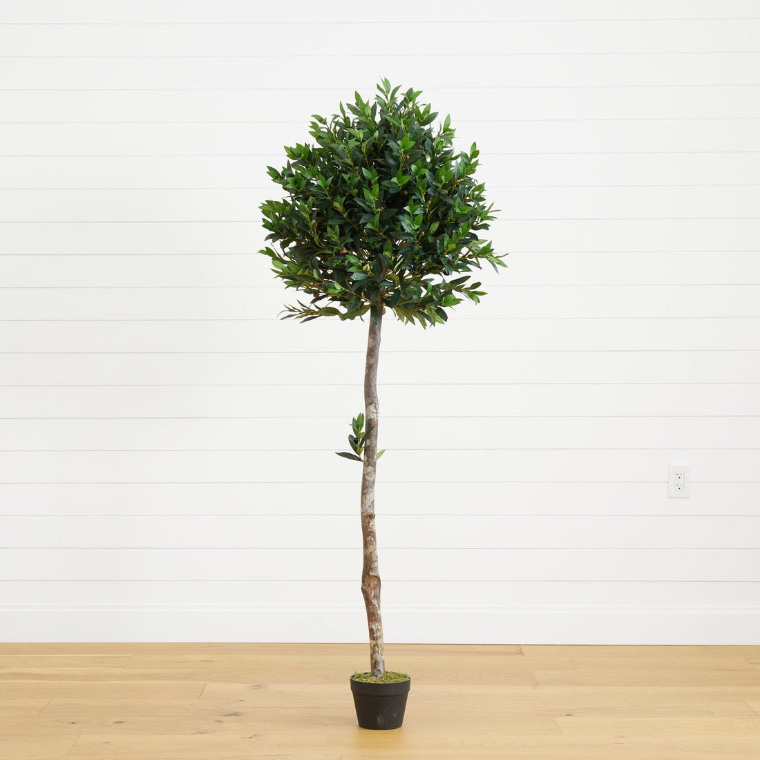 artificial plants indoor olive tree 5.5' Olive Topiary Artificial Tree UV Resistant (Indoor/Outdoor)