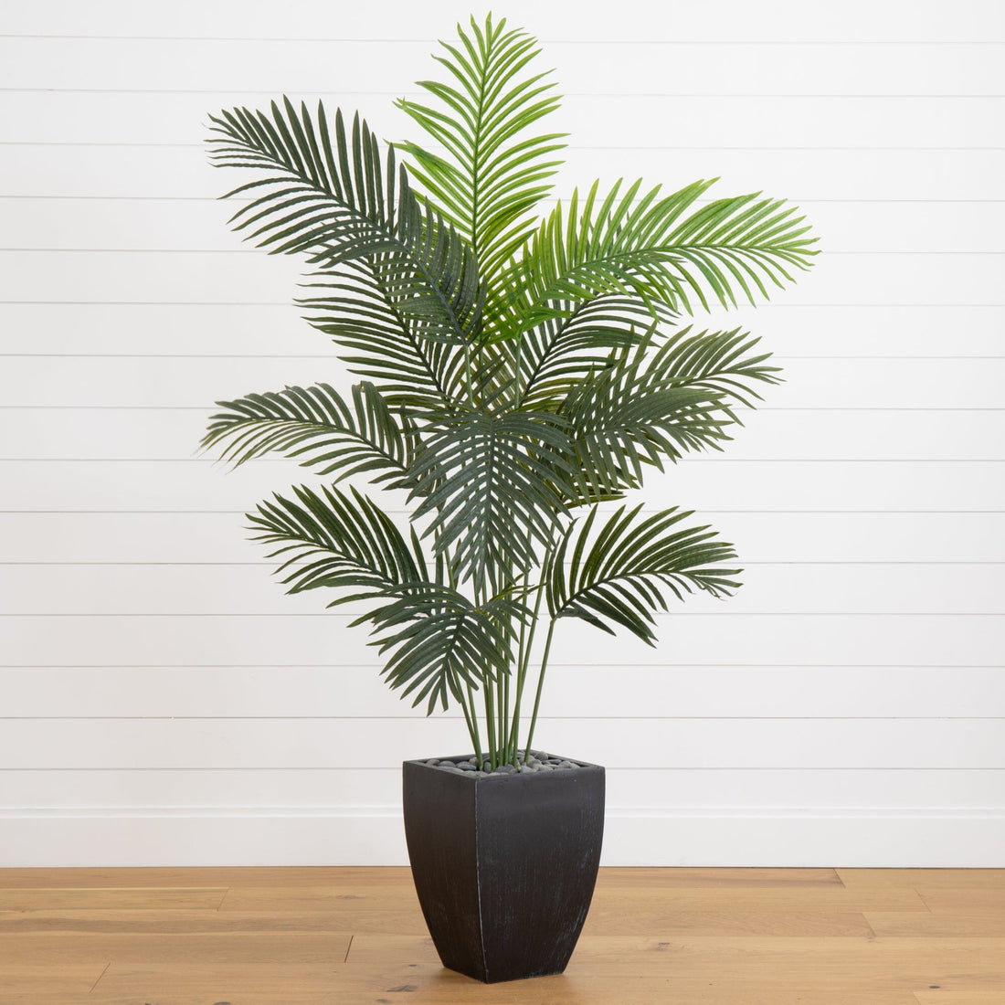 black fake plants 5.5' Paradise Artificial Palm Tree in Black Planter