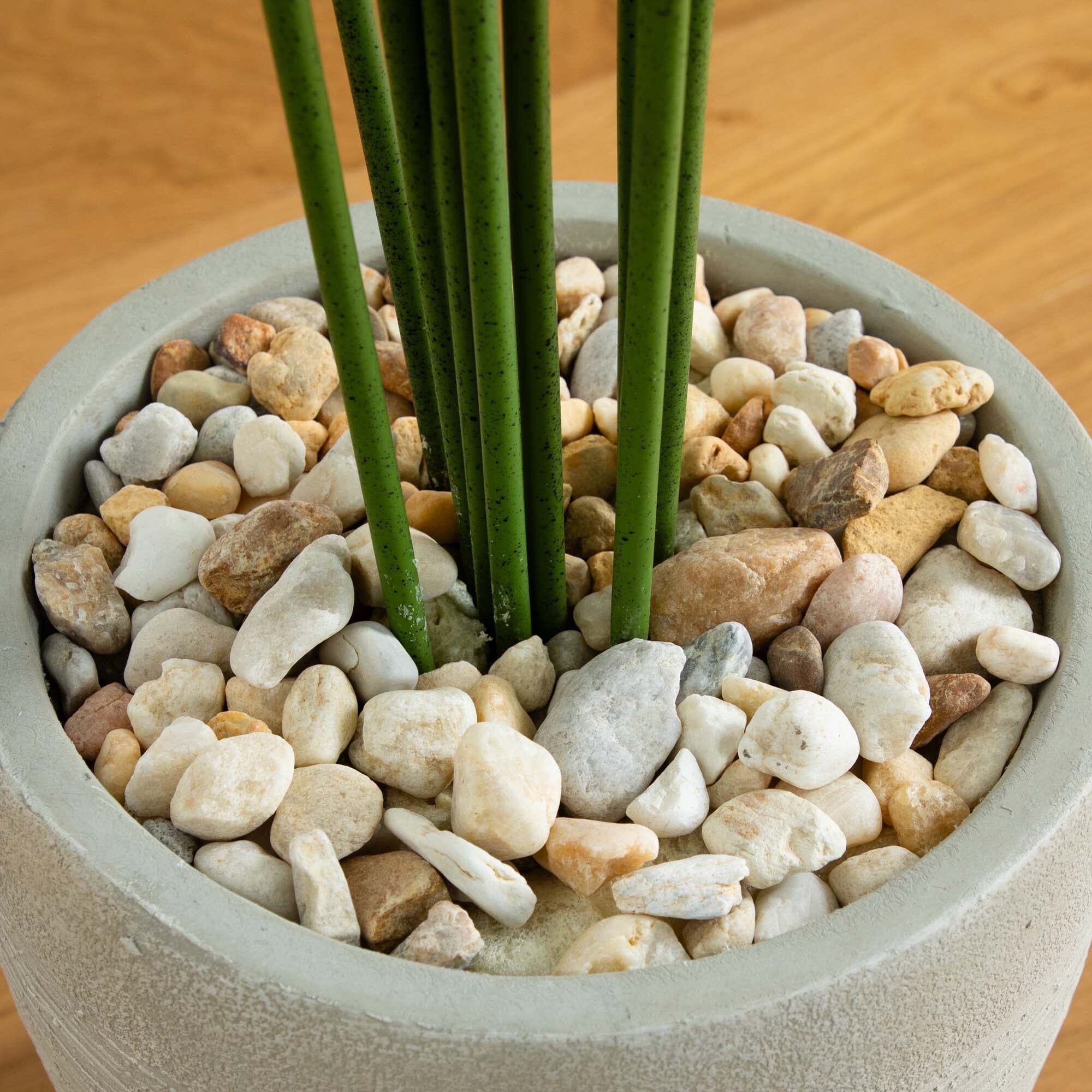 5.5' Paradise Artificial Palm Tree in Sand Colored Planter