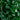 56” Bay Leaf Cone Topiary Artificial Tree UV Resistant in Black Planter (Indoor/Outdoor)
