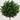 58” Olive Topiary Artificial Tree UV Resistant (Indoor/Outdoor)
