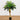 58” Robellini Palm Artificial Tree