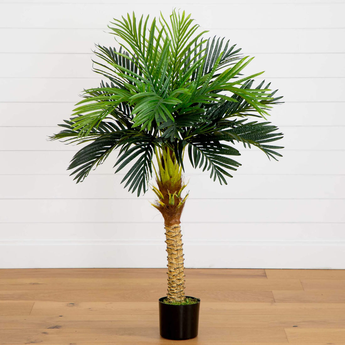 palm robellini plant 58” Robellini Palm Artificial Tree