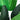 58” Traveler's Palm Artificial Tree