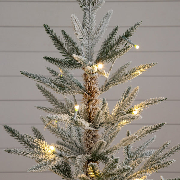 5’Pre-Lit Artificial Flocked Woodland Fir Christmas Tree with 100 Warm White LED Lights