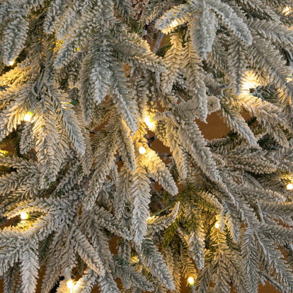 5’Pre-Lit Artificial Flocked Woodland Fir Christmas Tree with 100 Warm White LED Lights