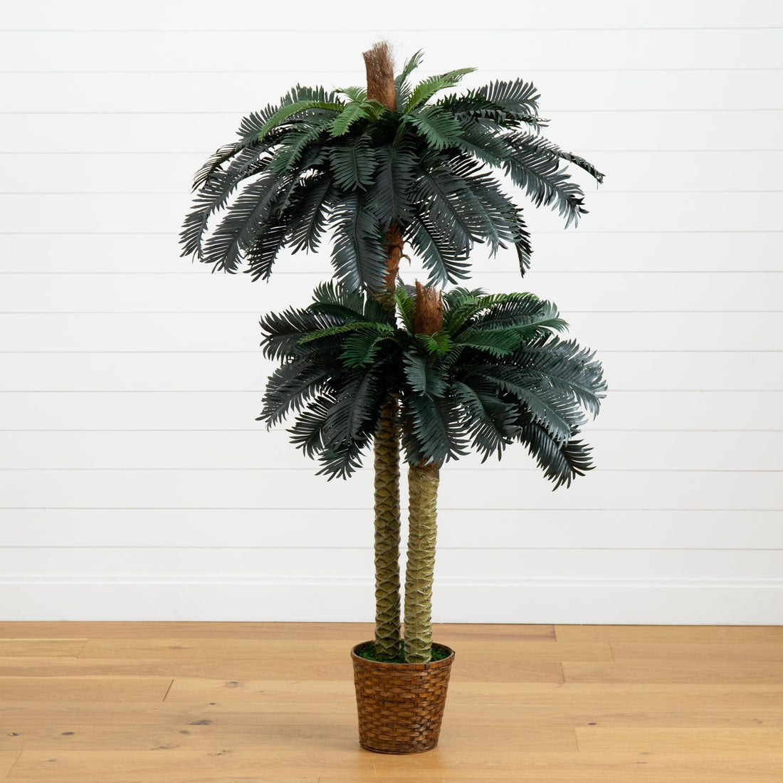 large potted silk plants 6' & 4' Sago Palm Double Potted Silk Tree