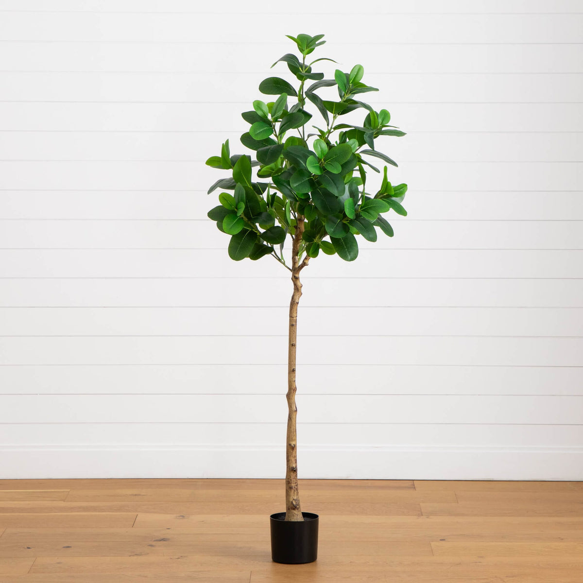 buy audrey ficus Nearly Natural 6 ft. Artificial Audrey Ficus Tree