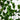 6’ Artificial Birch Tree with Real Touch Leaves